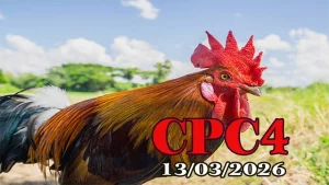 Trực tiếp đá gà CPC4 hôm nay 13032026 – Video full trận